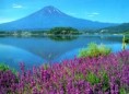 /album/hora-fuji/kawaguchiko-mount-fuji-jpg/